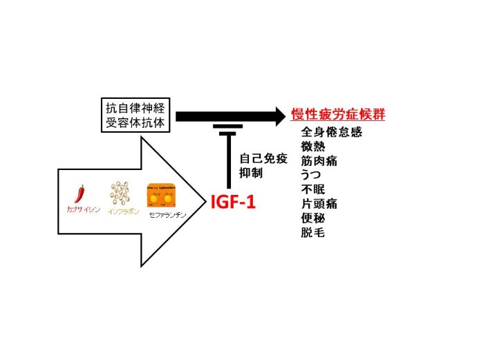 円形脱毛症　病院